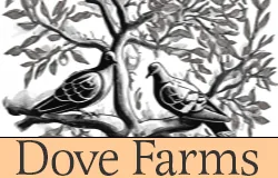 Dove Farms logo with two doves in a tree